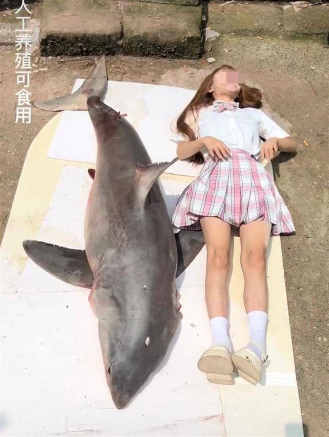 提子吃鲨鱼原视频 网红“提子”被曝食用幼年大白鲨